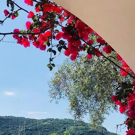 Villa Claudia *